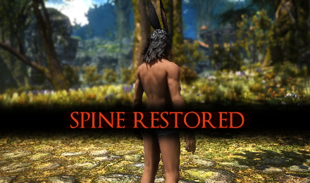 Spine Restored - Male Viera Posture