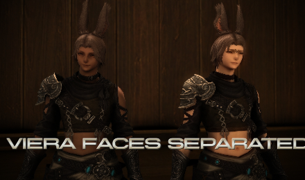 Viera Faces Separated