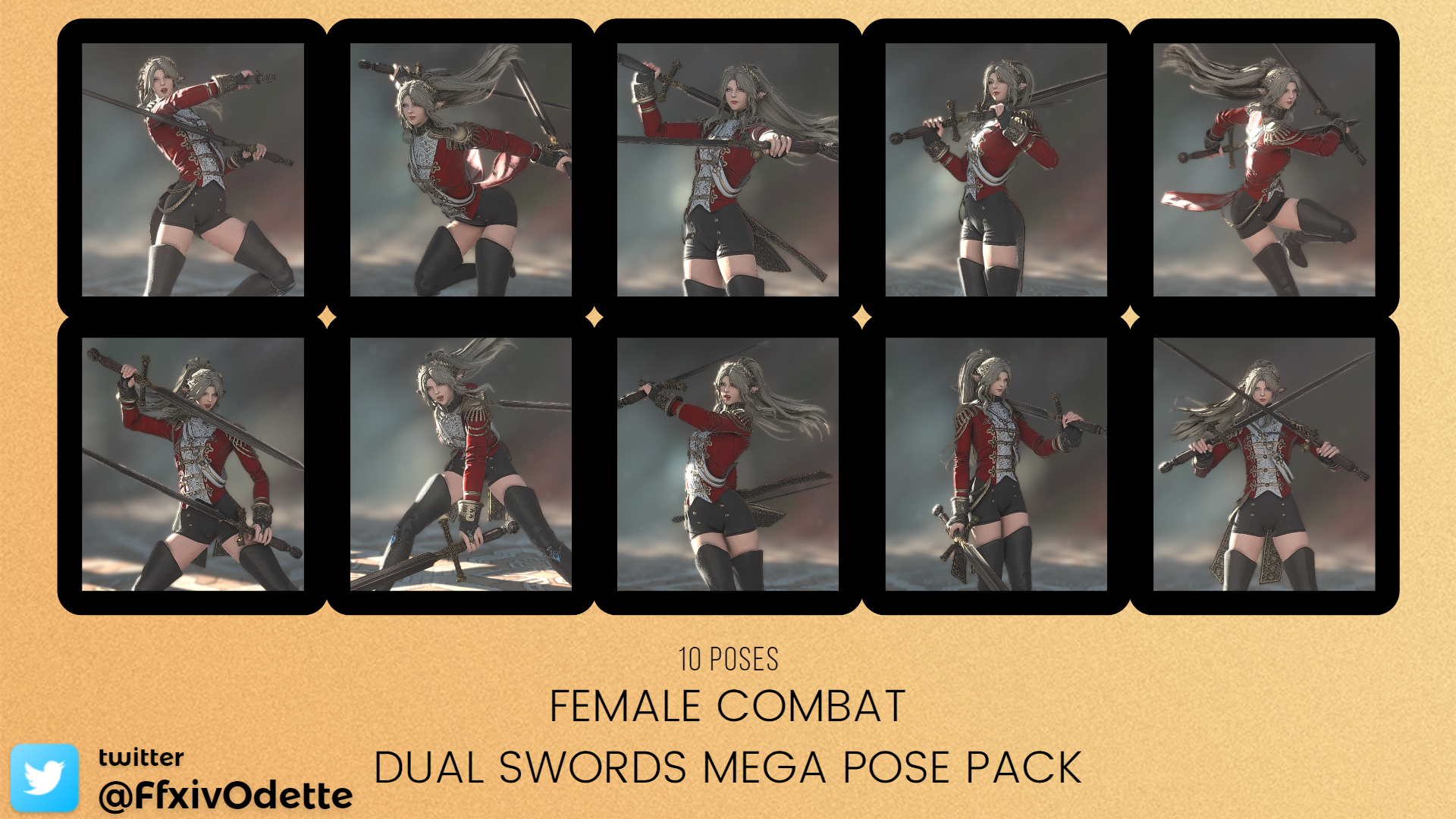 Dual Sword Poses