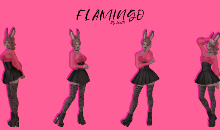 Flamingo