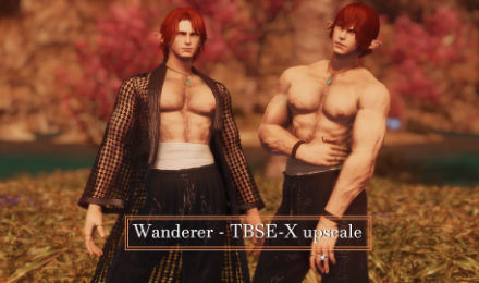 Wanderer - TBSE-X Upscale