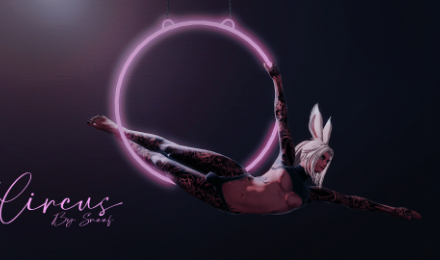 Circus