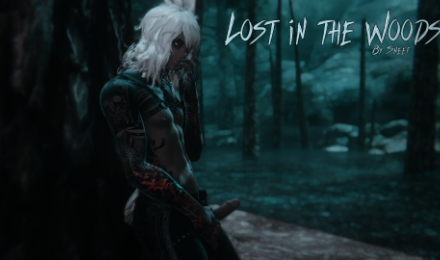 Lost in the Woods