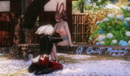 A Quiet Moment