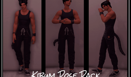 Kibum Pose Pack