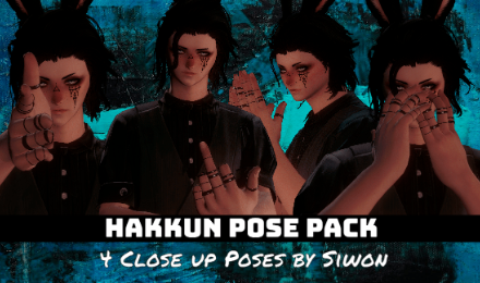 Hakkun Pose Pack