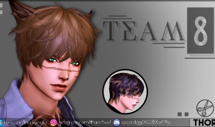 Thor - Team8