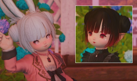 Lost Ark Space Buns for Lalafell