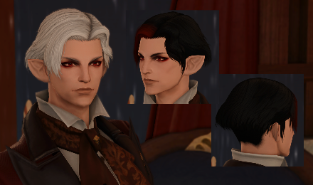 Emperor Hair (NPC Port for M Elezen)