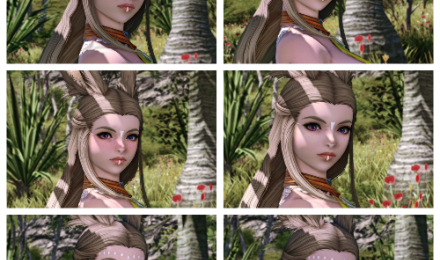 Tribal Inspired Face Paint Overlay for Viera Females (made with face one) PRE DT