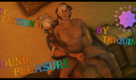 [TriQuin] Bound Pleasure [DT]